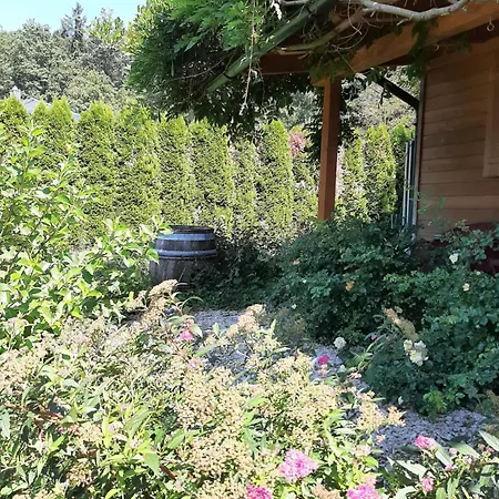 Dom wakacyjny Manjul