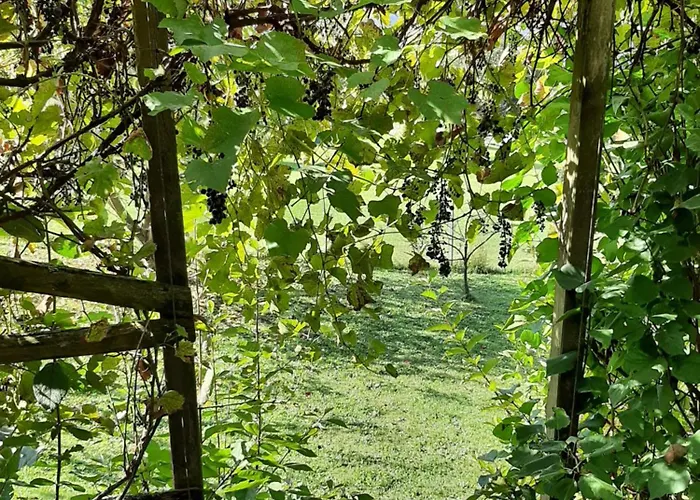 Manjul Dom wakacyjny